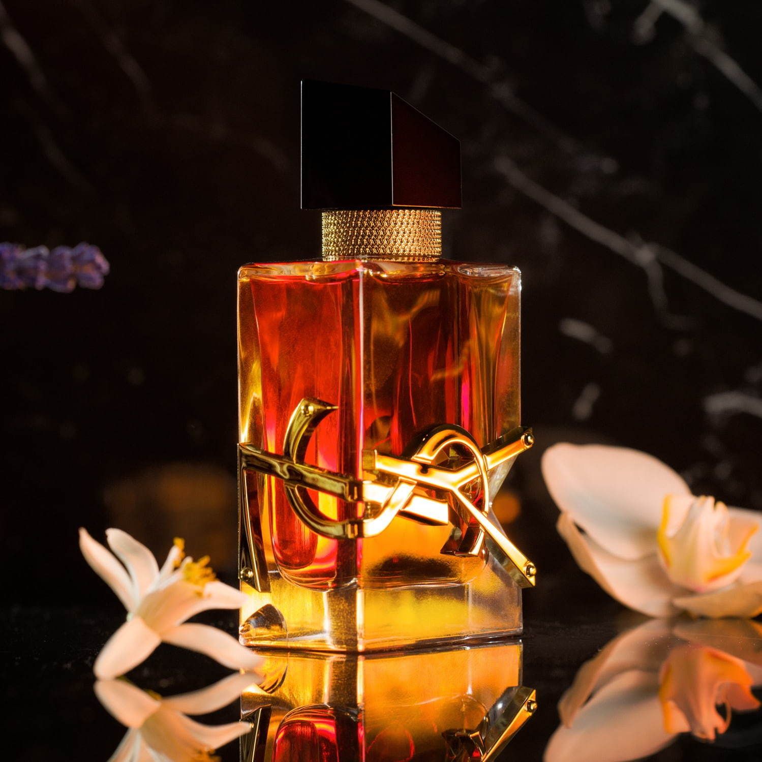 Yves Saint Laurent Libre Le Parfum EDP